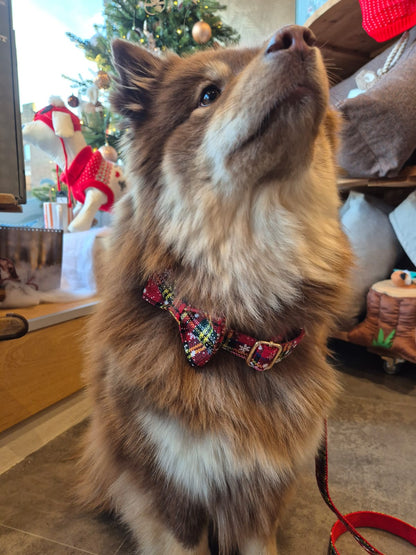 Collier Tartan Noël