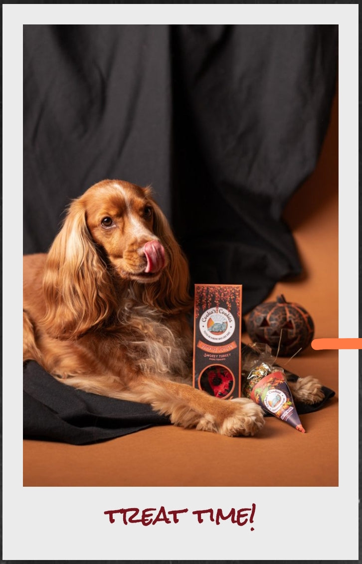 Donuts d’Halloween