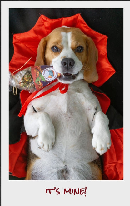 Friandises d’Halloween “Witch Treats”