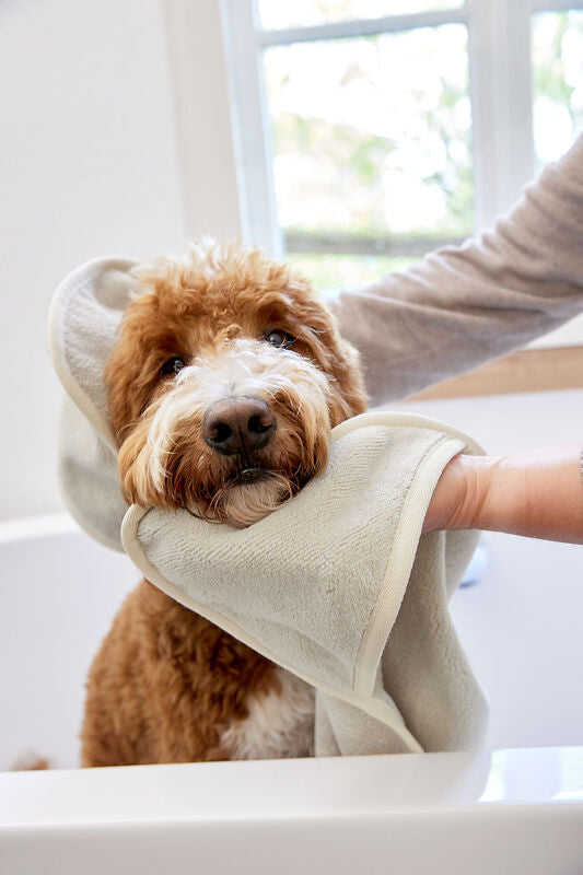 Serviette pour chien - Kosy