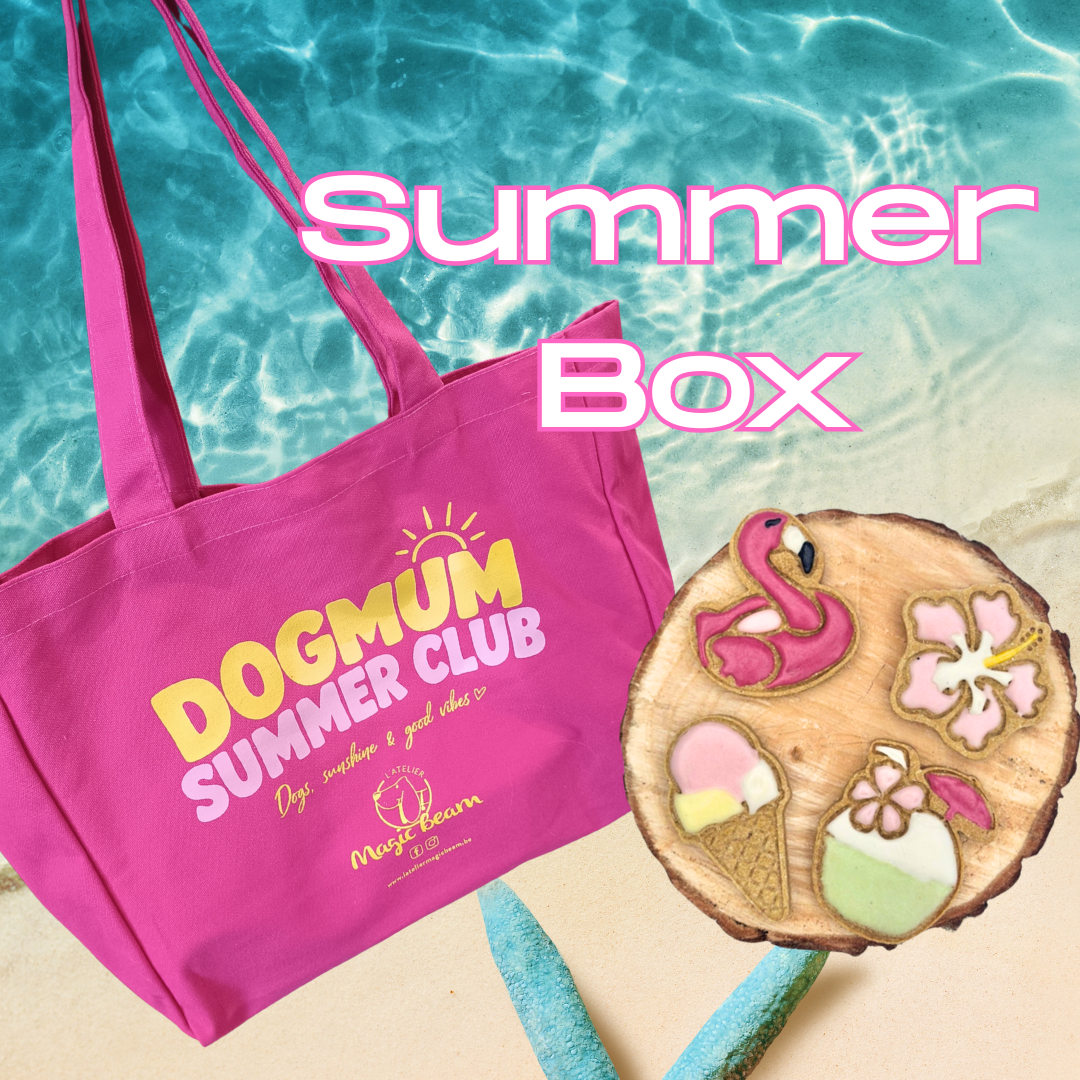 Summer Box - L’indispensable des vacances pour ton chien ☀️
