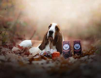 Friandises d’Halloween “Witch Treats”
