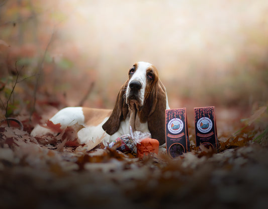 Donuts d’Halloween