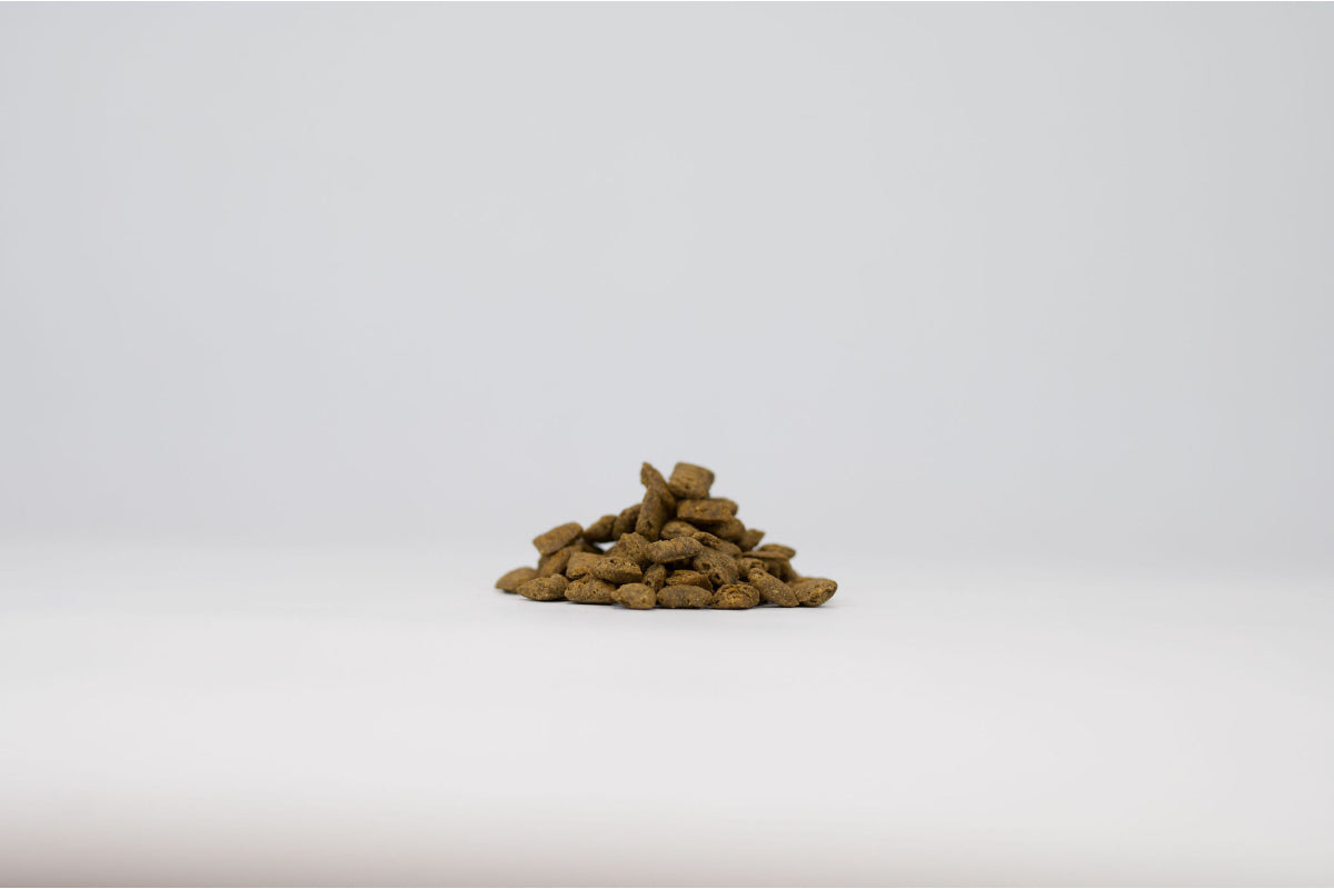 Plancton : les feuilletés de poisson