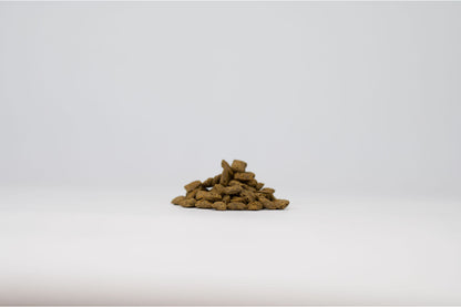 Plancton : les feuilletés de poisson