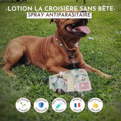 Lotion antiparasitaire : La croisière sans bête